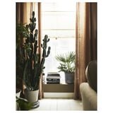 RINGBLOMMA - Image 4